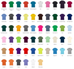 Gildan Heavy Cotton T-Shirt & Sweatshirt Bundle