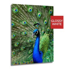 Ultra HD GLOSS WHITE 1.15mm Aluminium Sheets - 11.7" x 17.7" (30cm x 45cm) - Longforte Trading Ltd